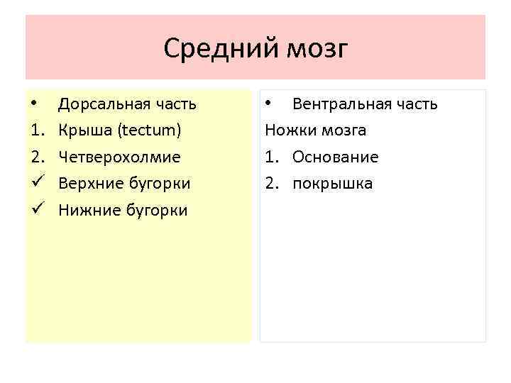 Средний мозг • 1. 2. ü ü Дорсальная часть Крыша (tectum) Четверохолмие Верхние бугорки