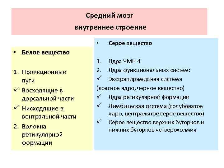 Средний мозг внутреннее строение • Серое вещество • Белое вещество 1. Проекционные пути ü