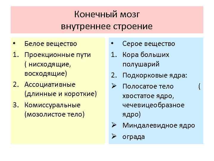 Конечный мозг внутреннее строение • Белое вещество 1. Проекционные пути ( нисходящие, восходящие) 2.