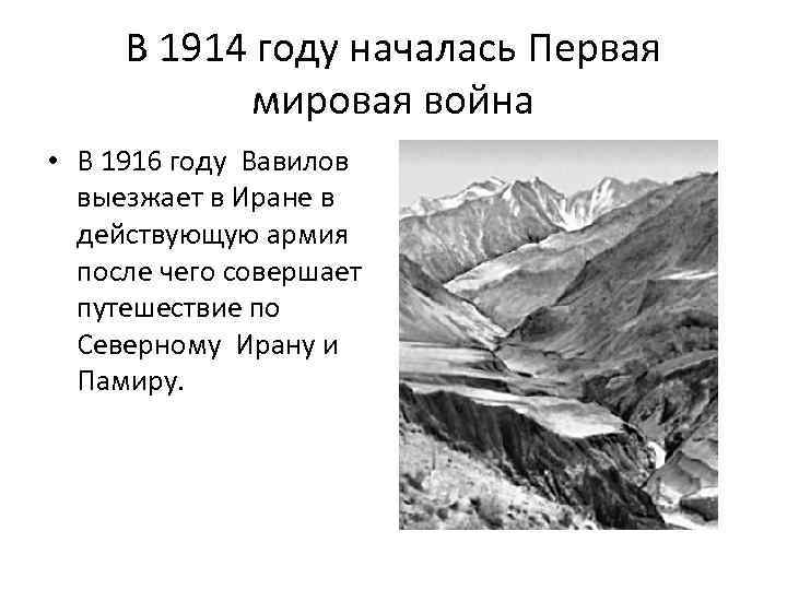 В 1914 году началась Первая мировая война • В 1916 году Вавилов выезжает в