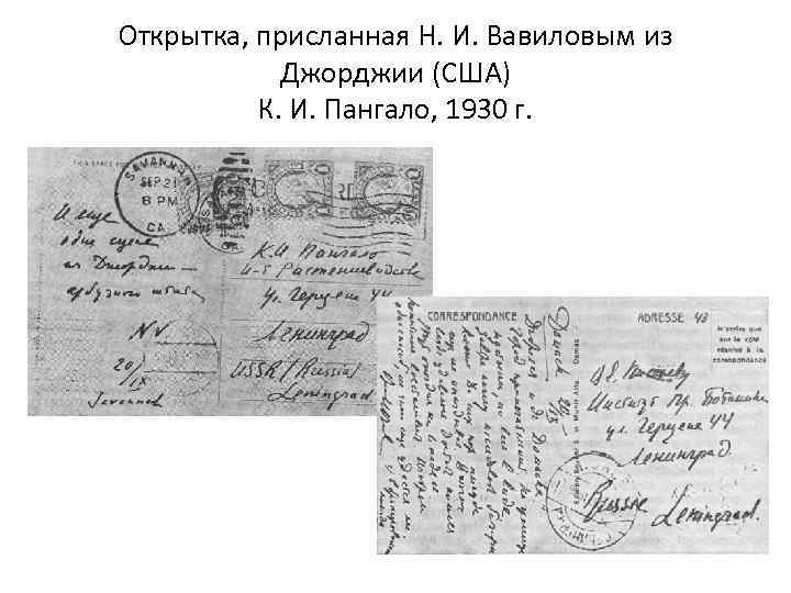Открытка, присланная Н. И. Вавиловым из Джорджии (США) К. И. Пангало, 1930 г. 