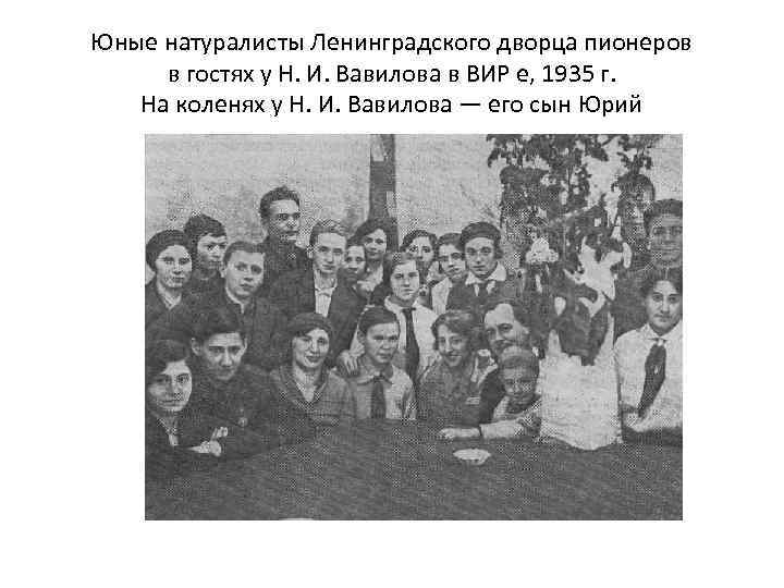 Юные натуралисты Ленинградского дворца пионеров в гостях у Н. И. Вавилова в ВИР е,