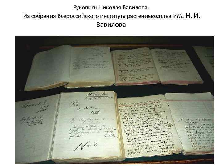 Рукописи Николая Вавилова. Из собрания Всероссийского института растениеводства им. Н. И. Вавилова 