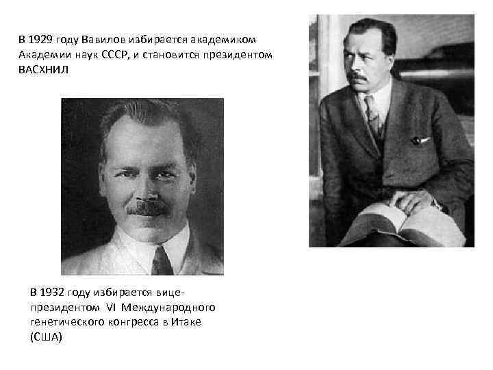 В 1929 году Вавилов избирается академиком Академии наук СССР, и становится президентом ВАСХНИЛ В