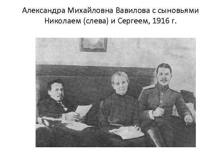 Александра Михайловна Вавилова с сыновьями Николаем (слева) и Сергеем, 1916 г. 