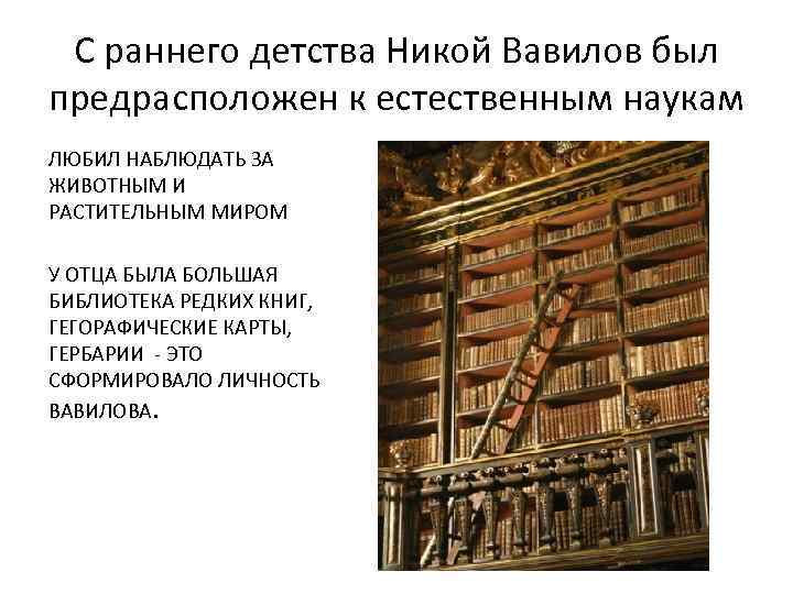 С раннего детства Никой Вавилов был предрасположен к естественным наукам ЛЮБИЛ НАБЛЮДАТЬ ЗА ЖИВОТНЫМ