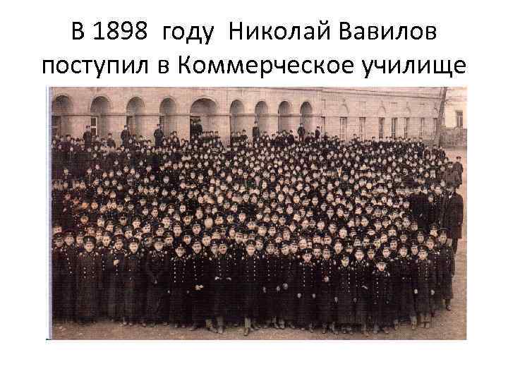 В 1898 году Николай Вавилов поступил в Коммерческое училище 