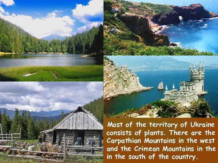 Most of the territory of Ukraine consists of plants. There are the Carpathian Mountains