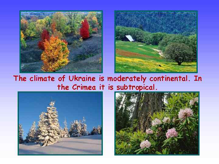 The climate of Ukraine is moderately continental. In the Crimea it is subtropical. 