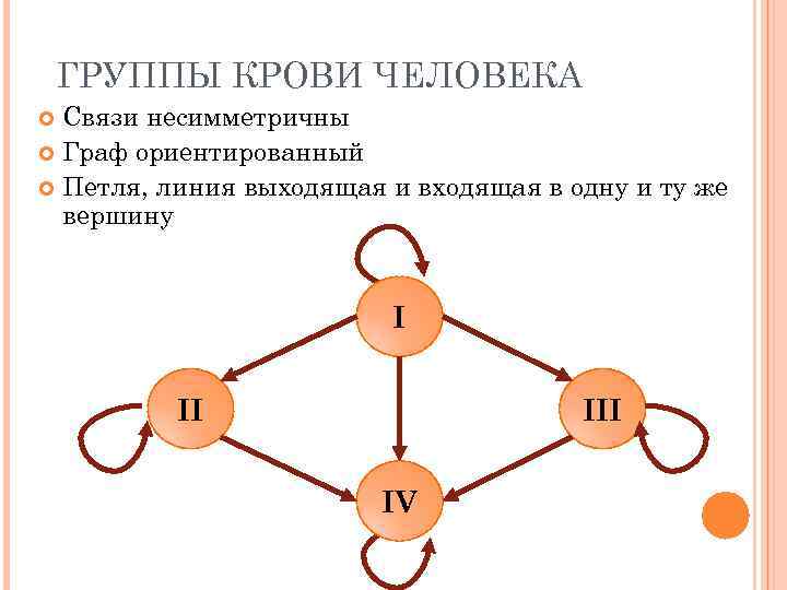 ГРУППЫ КРОВИ ЧЕЛОВЕКА Связи несимметричны Граф ориентированный Петля, линия выходящая и входящая в одну
