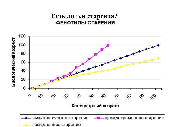 Есть ли ген старения? 