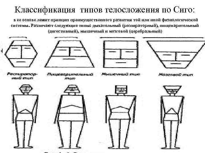 Схемы конституциональной диагностики и б галанта