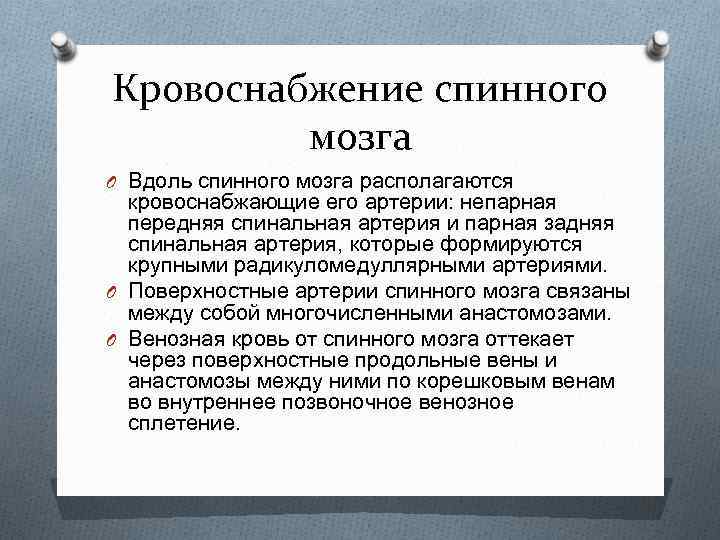 Кровоснабжение спинного мозга O Вдоль спинного мозга располагаются кровоснабжающие его артерии: непарная передняя спинальная