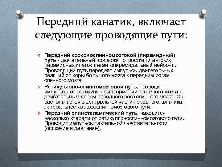 Передний канатик, включает следующие проводящие пути: O Передний корковоспинномозговой (пирамидный) путь - двигательный, содержит