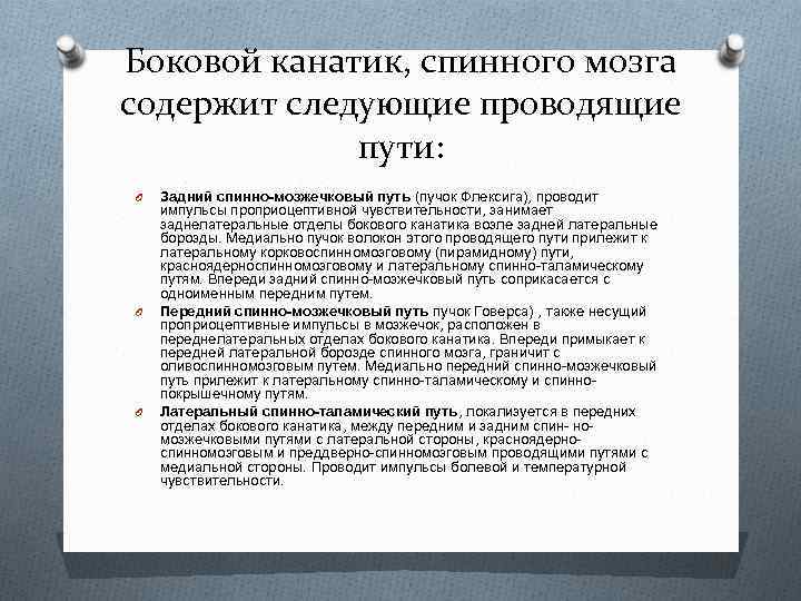 Боковой канатик, спинного мозга содержит следующие проводящие пути: O O O Задний спинно-мозжечковый путь