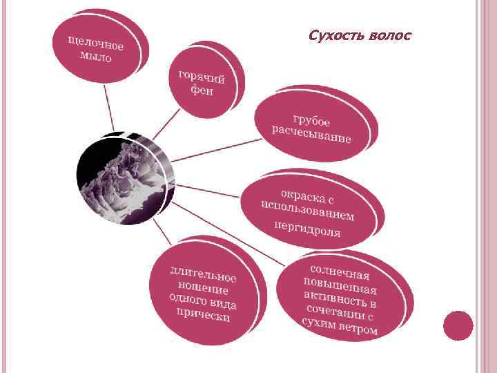 Сухость волос 