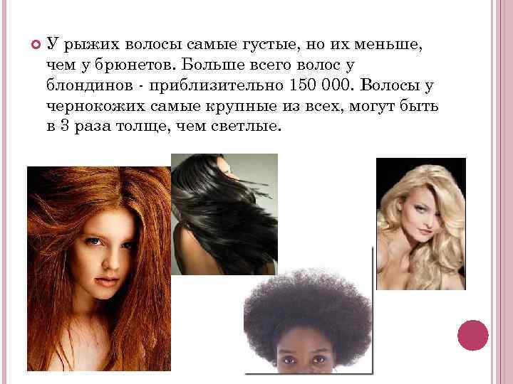  У рыжих волосы самые густые, но их меньше, чем у брюнетов. Больше всего