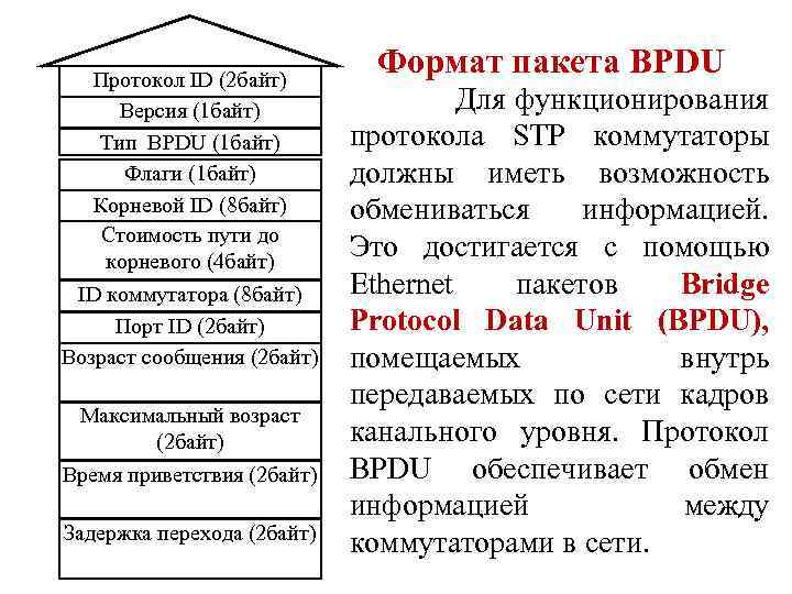 Протокол ID (2 байт) Версия (1 байт) Тип BPDU (1 байт) Флаги (1 байт)