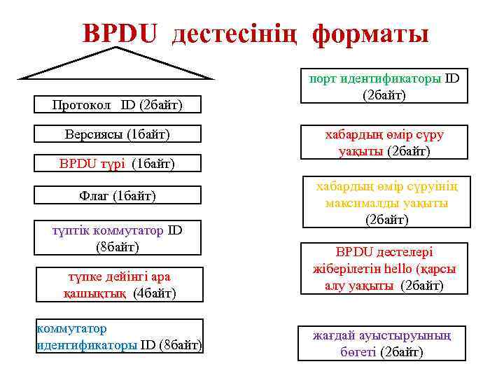 BPDU дестесінің форматы Протокол ID (2 байт) Версиясы (1 байт) BPDU түрі (1 байт)