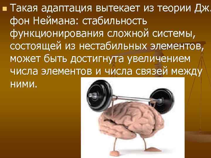 n Такая адаптация вытекает из теории Дж. фон Неймана: стабильность функционирования сложной системы, состоящей