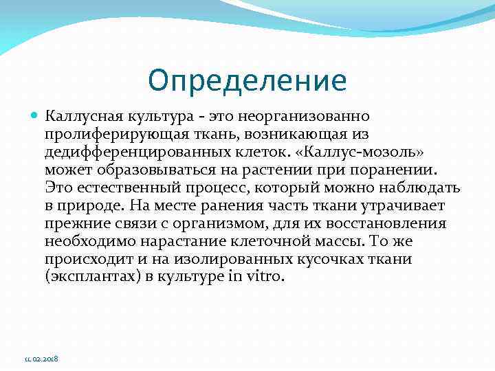 В природе многие процессы происходят не изолированно. Каллусная культура. Каллусной ткани. Каллусные клетки. Каллусная ткань в природе.