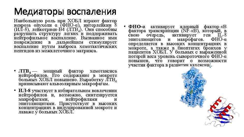 Медиаторы воспаления Наибольшую роль при ХОБЛ играют фактор некроза опухоли α (ФНО-α), интерлейкин 8