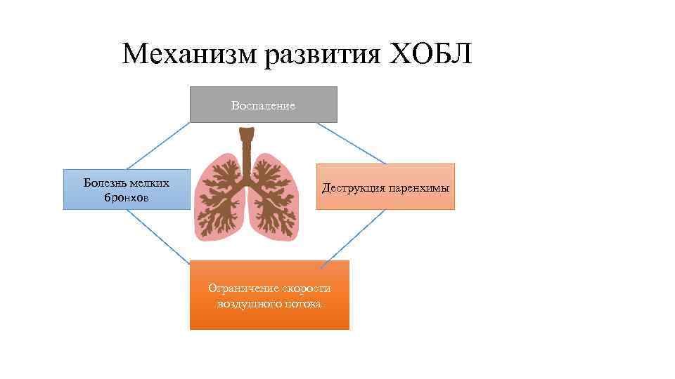 Механизм развития ХОБЛ Воспаление Болезнь мелких бронхов Деструкция паренхимы Ограничение скорости воздушного потока 5