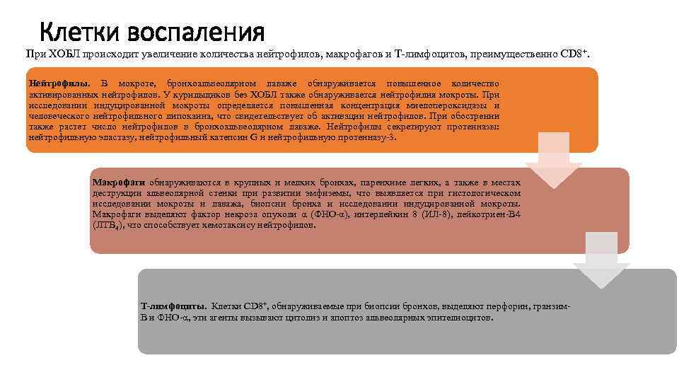 Клетки воспаления При ХОБЛ происходит увеличение количества нейтрофилов, макрофагов и Т-лимфоцитов, преимущественно CD 8+.