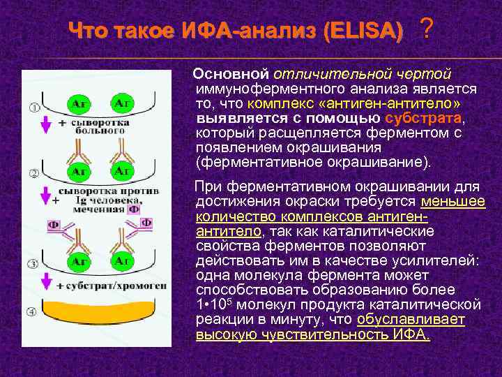 Что такое ИФА-анализ (ELISA) ? Основной отличительной чертой иммуноферментного анализа является то, что комплекс
