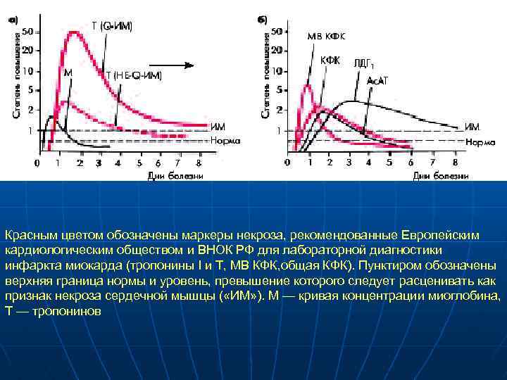 Красным цветом обозначены маркеры некроза, рекомендованные Европейским кардиологическим обществом и ВНОК РФ для лабораторной