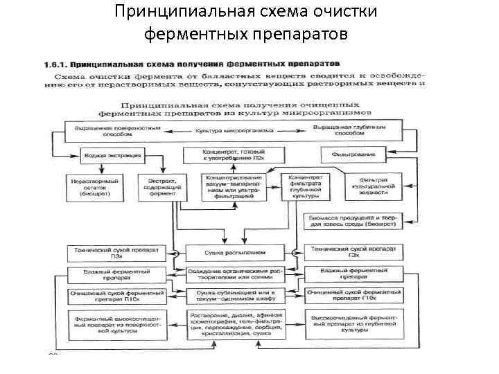 Принципиальная схема очистки ферментных препаратов 