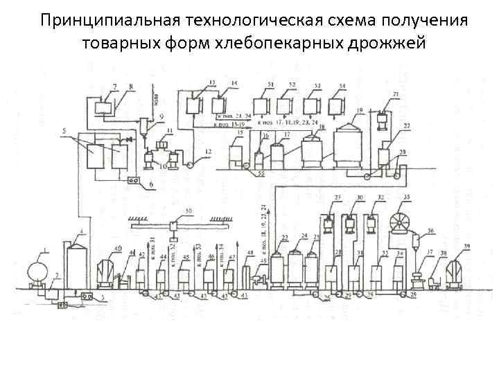 Принципиальная технологическая схема получения товарных форм хлебопекарных дрожжей 