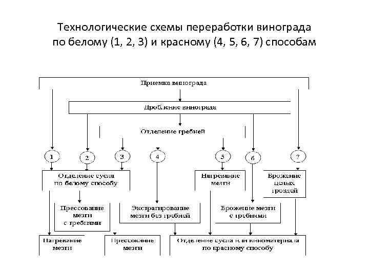 Технологические схемы переработки винограда по белому (1, 2, 3) и красному (4, 5, 6,