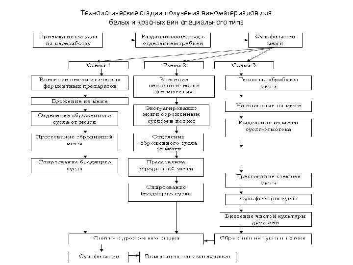 Технологические стадии получения виноматериалов для белых и красных вин специального типа 