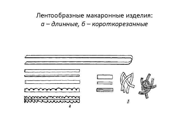 Лентообразные макаронные изделия: а – длинные, б – короткорезанные 