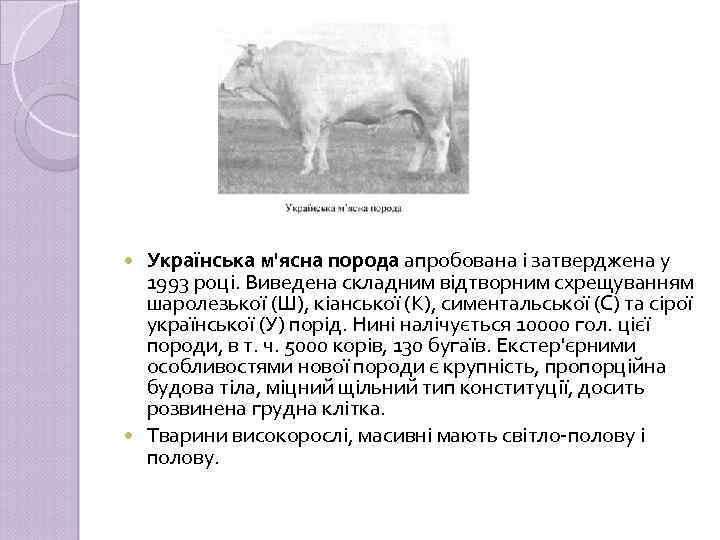 Українська м'ясна порода апробована і затверджена у 1993 році. Виведена складним відтворним схрещуванням шаролезької