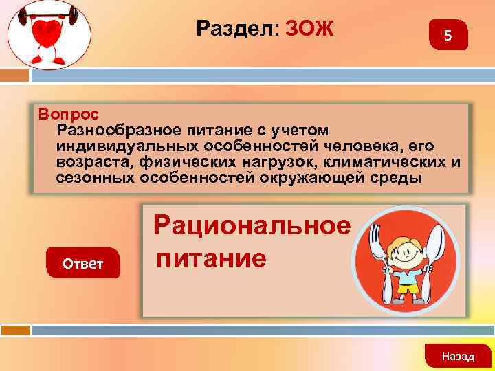 Раздел: ЗОЖ 5 Вопрос Разнообразное питание с учетом индивидуальных особенностей человека, его возраста, физических