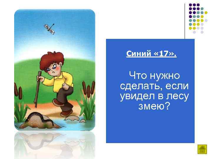 Синий « 17» . Что нужно сделать, если увидел в лесу змею? 