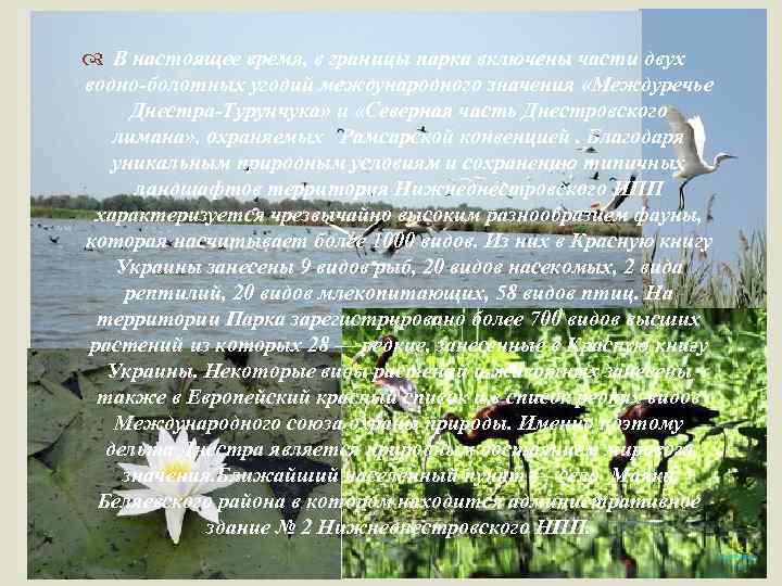  В настоящее время, в границы парка включены части двух водно-болотных угодий международного значения