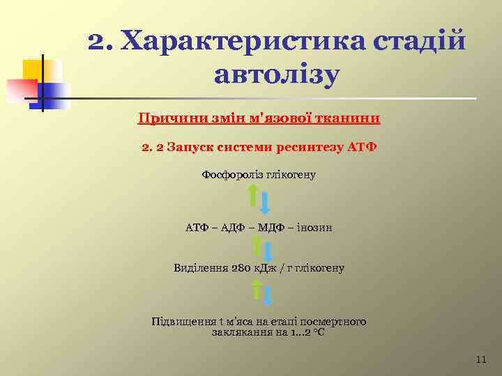 2. Характеристика стадій автолізу Причини змін м'язової тканини 2. 2 Запуск системи ресинтезу АТФ