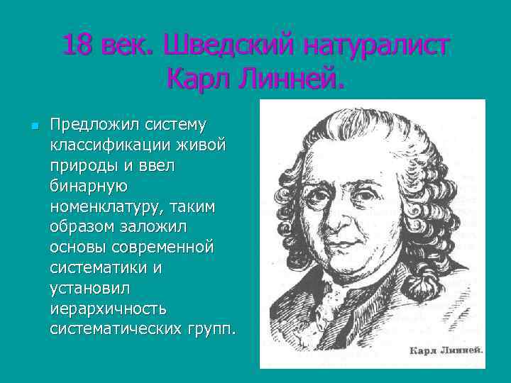 18 век. Шведский натуралист Карл Линней. n Предложил систему классификации живой природы и ввел