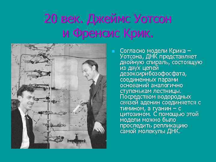20 век. Джеймс Уотсон и Френсис Крик. n Согласно модели Крика – Уотсона, ДНК