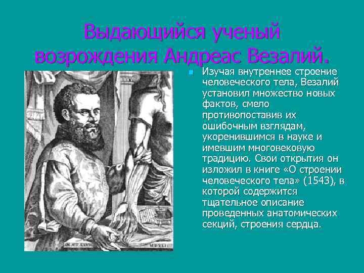 Выдающийся ученый возрождения Андреас Везалий. n Изучая внутреннее строение человеческого тела, Везалий установил множество
