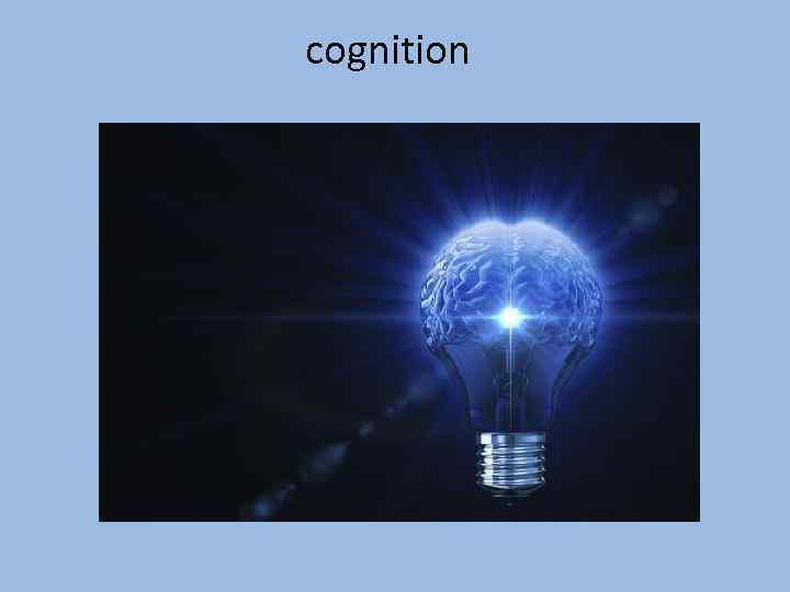 cognition 