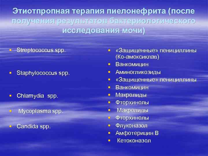Этиотпропная терапия пиелонефрита (после получения результатов бактериологического исследования мочи) § Streptococcus sрр. § Staphylococcus
