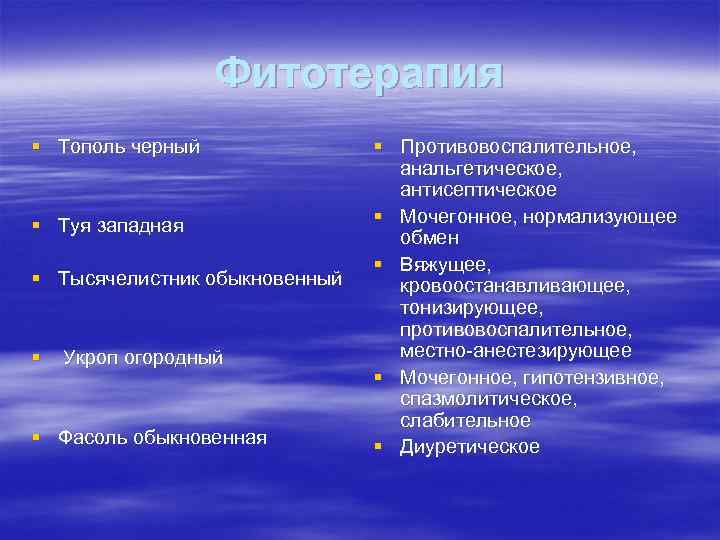 Фитотерапия § Тополь черный § Туя западная § Тысячелистник обыкновенный § Укроп огородный §