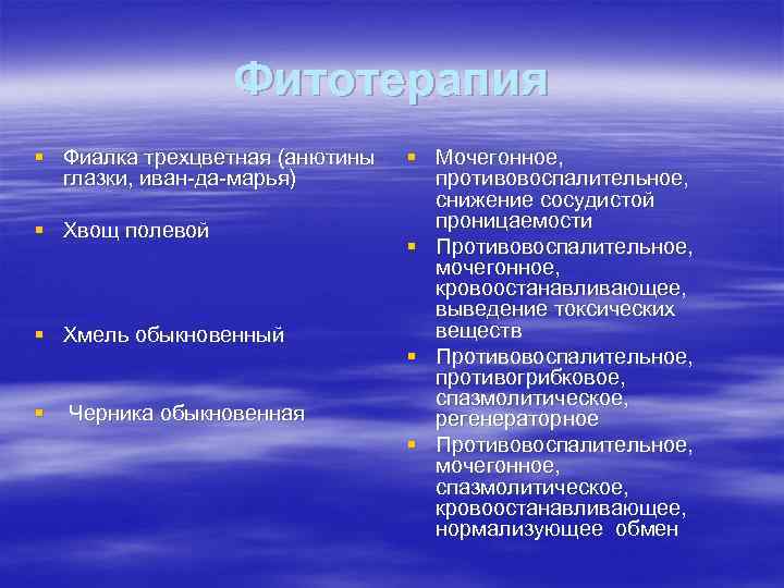 Фитотерапия § Фиалка трехцветная (анютины глазки, иван да марья) § Хвощ полевой § Хмель