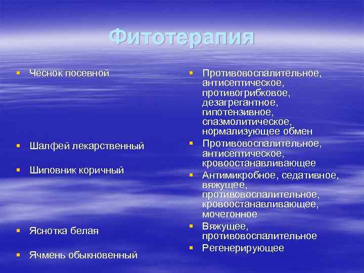 Фитотерапия § Чеснок посевной § Шалфей лекарственный § Шиповник коричный § Яснотка белая §
