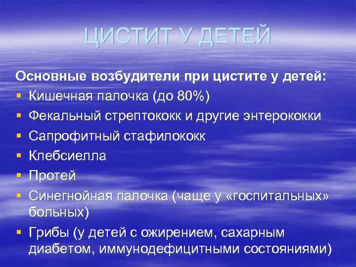ЦИСТИТ У ДЕТЕЙ Основные возбудители при цистите у детей: § Кишечная палочка (до 80%)