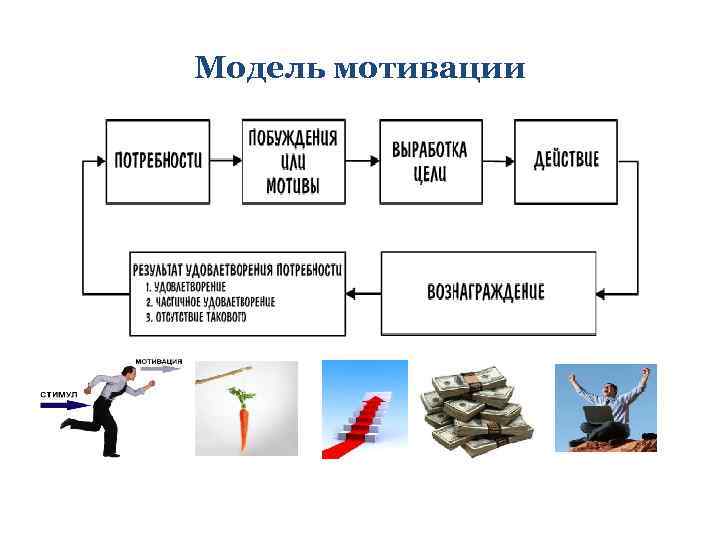 Модель мотивации 